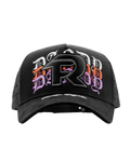DANDY FUERZA REGIDA
